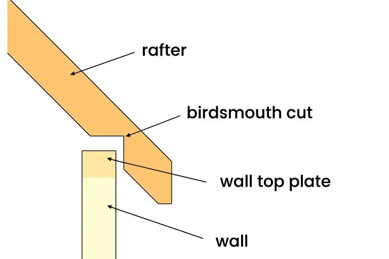 Rafter with birdsmouth cut example